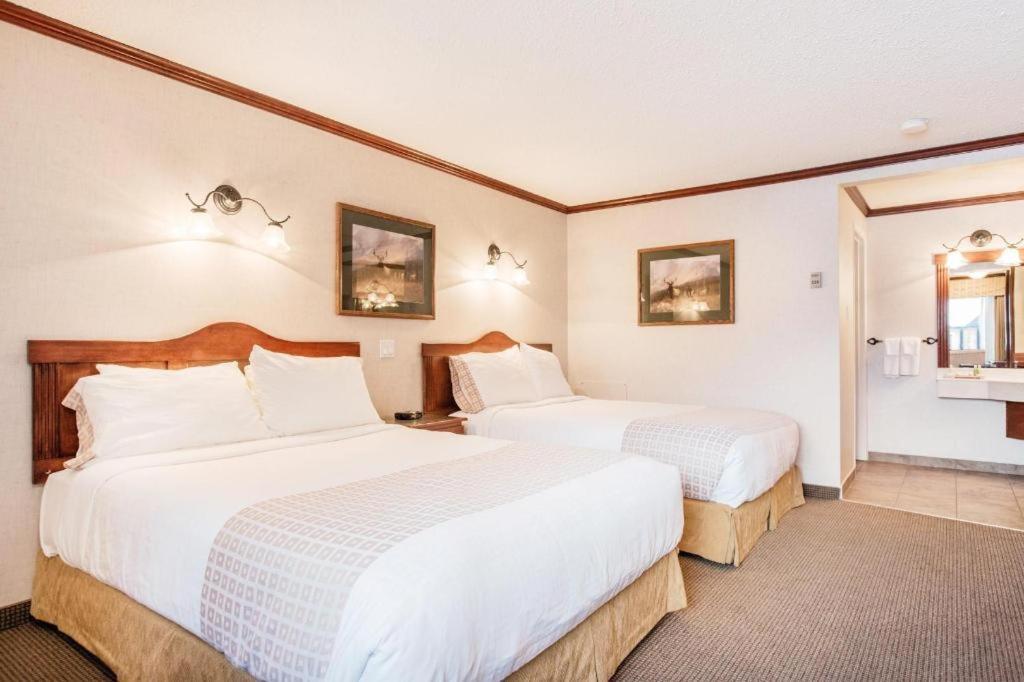 Mount Robson Inn Jasper Dış mekan fotoğraf